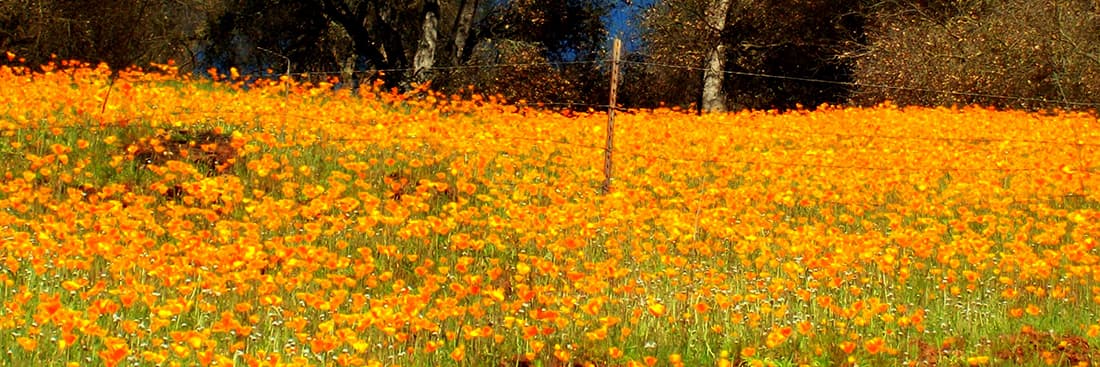 Mokelumne Hill Community Church
